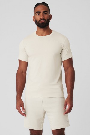 Alo Yoga Conquer Reform Crewneck Short Sleeve Tricko Panske Béžové | Alo Yoga Slovensko SK-TZMYHX962