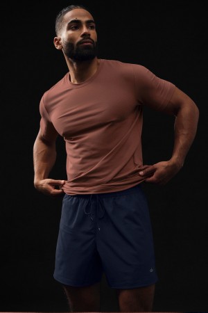 Alo Yoga Conquer Reform Crewneck Short Sleeve Tricko Panske Hnede | Alo Yoga Slovensko SK-LFPWKH678