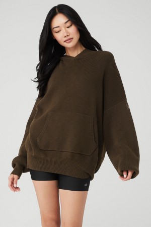 Alo Yoga Scholar Hooded Sveter Damske Hnede | Alo Yoga Slovensko SK-ECNJGF236