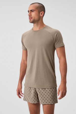 Alo Yoga Triumph Raglan Tricko Panske Gravel | Alo Yoga Slovensko SK-RMCWBF724