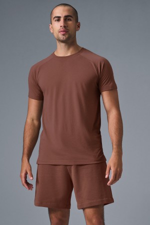 Alo Yoga Triumph Raglan Tricko Panske Hnede | Alo Yoga Slovensko SK-SFIWQU210