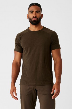 Alo Yoga Triumph Raglan Tricko Panske Hnede | Alo Yoga Slovensko SK-ZKGDMV298