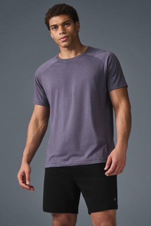 Alo Yoga Triumph Raglan Tricko Panske Nachový | Alo Yoga Slovensko SK-MWCUDH452